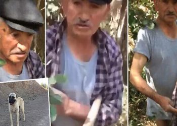75 yaşındaki adam, köpeğe tecavüz ederken yakalandı