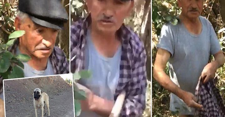 75 yaşındaki adam, köpeğe tecavüz ederken yakalandı