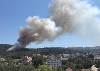 Bursa Nilüfer’de orman yangını!