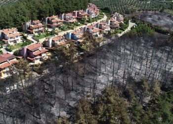 Bursa’da yıllar önce çıkan 2 yangın, Tarım Bakanı’nın gündeminde