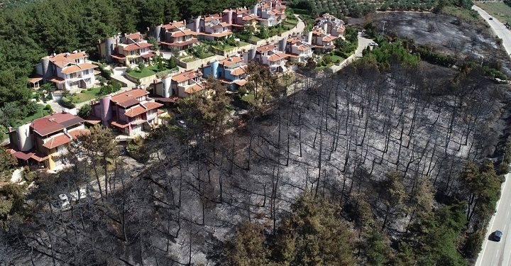 Bursa’da yıllar önce çıkan 2 yangın, Tarım Bakanı’nın gündeminde