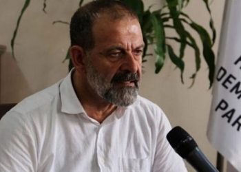 HDP’li Çelik, cinsel saldırı iddiasını reddetti