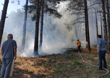Bursa’da çöpleri yakarken yanlışlıkla ormanı yaktı!
