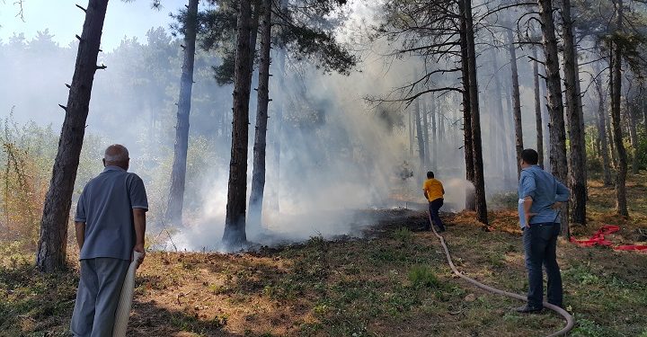 Bursa’da çöpleri yakarken yanlışlıkla ormanı yaktı!