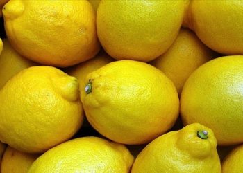 Limonda ihracat kısıtlaması kalktı, üretici nefes aldı