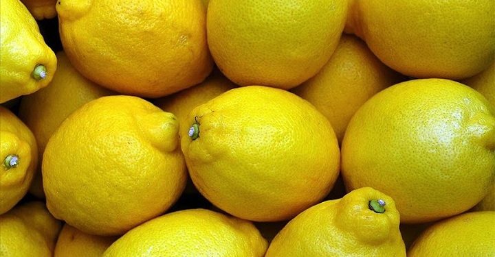 Limonda ihracat kısıtlaması kalktı, üretici nefes aldı