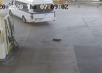 Yavru köpeği ezip geçti