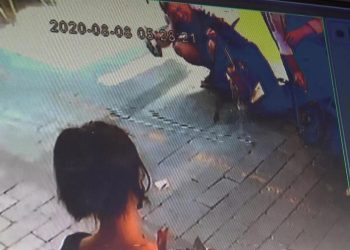 Sokak ortasında tuvaletini yaptı!