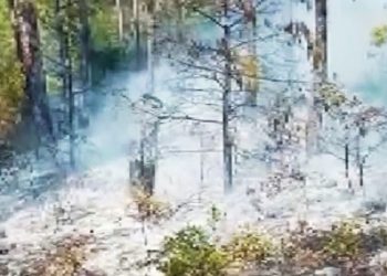 Marmaris’te orman yangını!