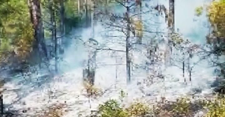 Marmaris’te orman yangını!