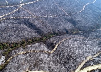 Adana’daki yangın kontrol altına alındı