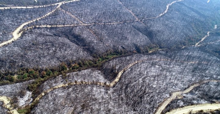 Adana’daki yangın kontrol altına alındı