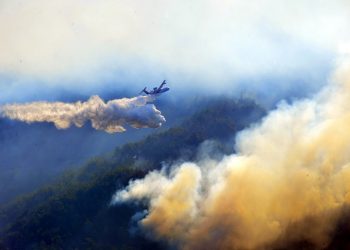 Adana’daki yangın kontrol altına alındı