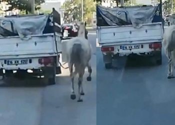 Bursa’da tepki çeken bu görüntüye ceza!