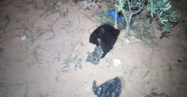 Domuz nöbetinde eşini vurdu