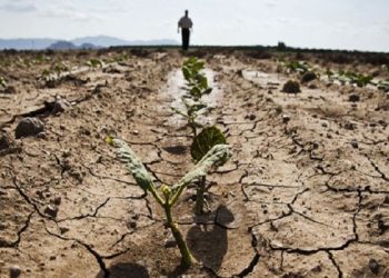 Tarımda kritik rapor: Yağışlar azalacak, verim düşecek
