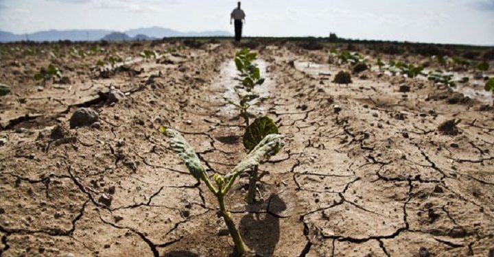 Tarımda kritik rapor: Yağışlar azalacak, verim düşecek