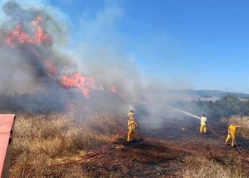 Orman yangınlarında 1 yılda yüzde 30 artış