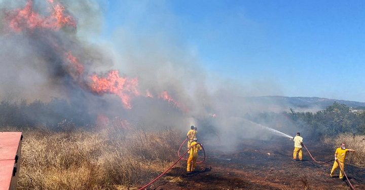 Orman yangınlarında 1 yılda yüzde 30 artış