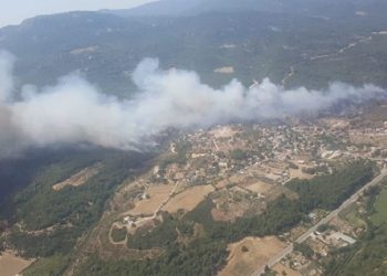 Ege ve Marmara’da orman yangınları