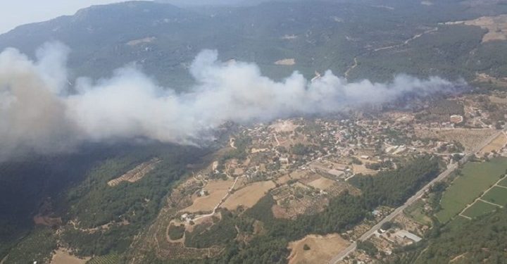 Ege ve Marmara’da orman yangınları