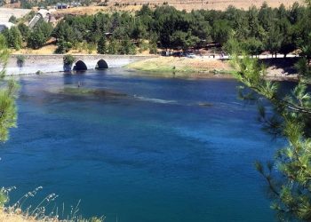 Serinlemek için baraja giren polis öldü