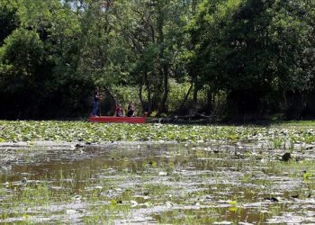Karacabey Longozu’nda izole tatil keyfi