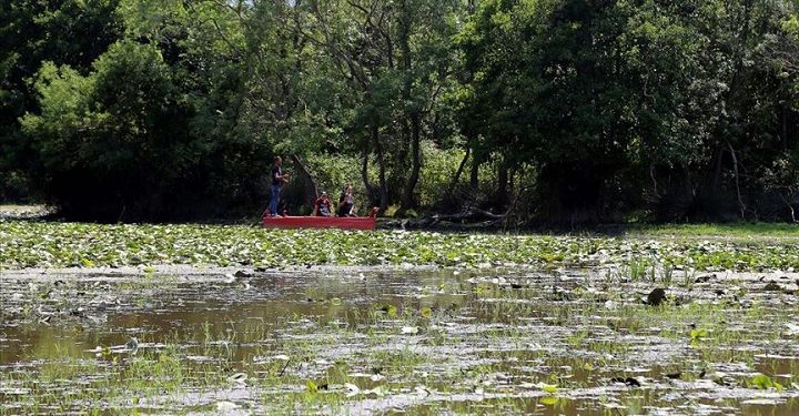 Karacabey Longozu’nda izole tatil keyfi