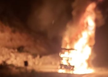 TIR yandı, 500 tavuk öldü