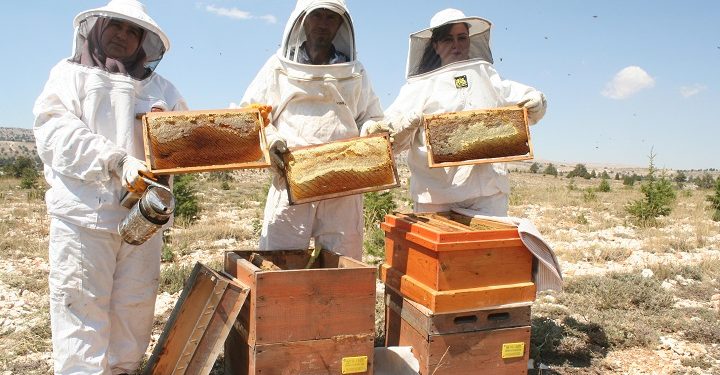 Uzmanlardan ‘sahte bal’ uyarısı