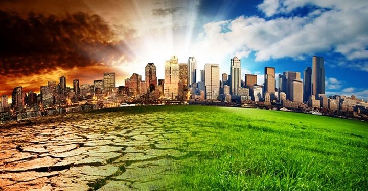 Bursa’da orman yangını!