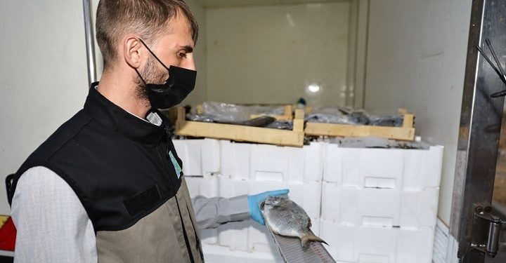 Bursa’da balık sezonu sıkı denetimle başladı