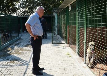 Mustafakemalpaşa hayvan barınağına tam not