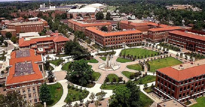 Bursa Teknik Üniversitesi uzaktan eğitim verecek