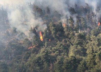 Bursa Gölbaşı’nda yangın hala sürüyor