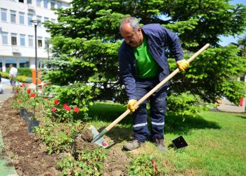 Yıldırım, ‘yeşil’ kimliğine kavuşacak