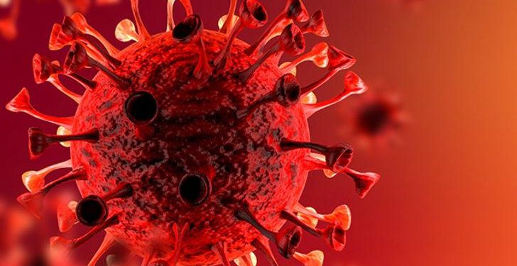 Güzelyalı Yat Limanı sil baştan yenilendi