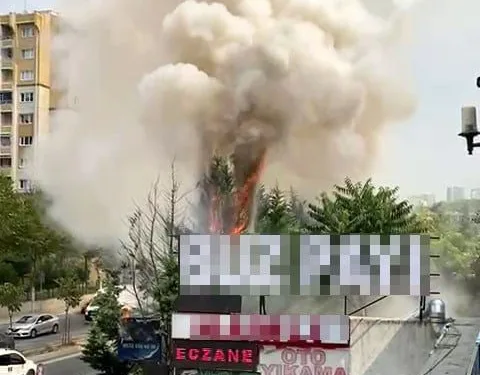 Ai̇le Sağlığı Merkezi̇ni̇n Bahçesi̇nde Korkutan Yangın