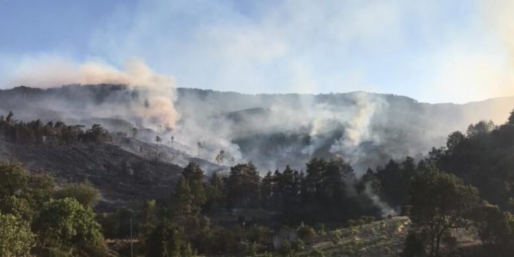 Bucak Yangınında 53 Ev Boşaltıldı
