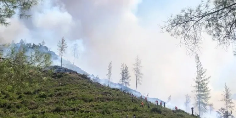 Burdurda Çıkan Yangına 4 Heli̇kopter Ve 1 Uçakla Müdahale Edi̇li̇yor