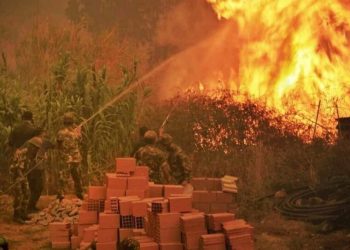 Cezayi̇rdeki̇ Orman Yangınlarında Ölenleri̇n Sayısı 65E Yükseldi̇