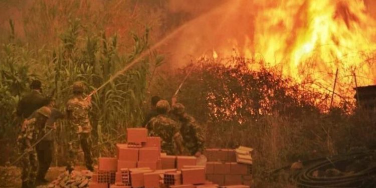 Cezayi̇rdeki̇ Orman Yangınlarında Ölenleri̇n Sayısı 65E Yükseldi̇