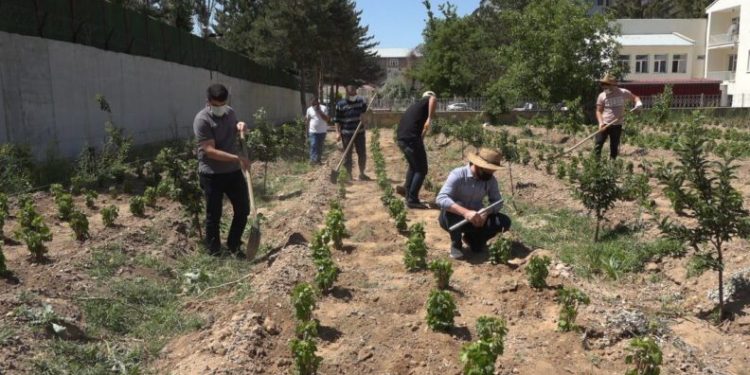 Endemi̇k Erci̇ş Üzümü Gelecek Nesi̇ller İçi̇n Toprakla Buluşturuldu