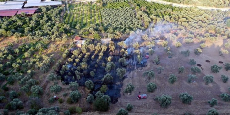 Kaynak Yaparken Arazi̇si̇ni̇ Yaktı