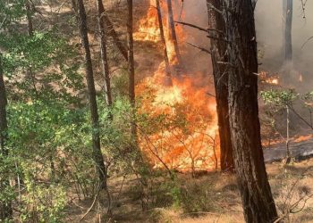 Kozanda Yangın Erken Müdahale İle Söndürüldü
