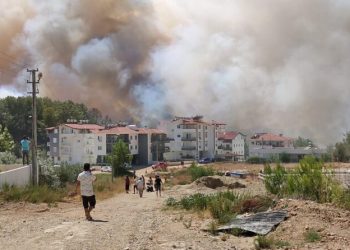 Manavgatta Orman Yangını Yeni̇den Başladı