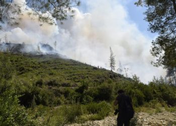 Mi̇lletveki̇li̇ Uğur: “Yangın Sönmezse Gece Görüşlü Heli̇kopter Kullanılacak”