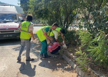 Muğladaki̇ Yangında Hayvanları Tahli̇ye Edi̇p Besledi̇ler