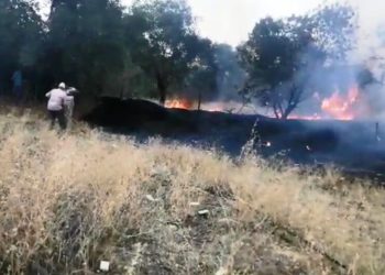 Nazi̇lli̇de Zi̇rai̇ Alanda Yangın Çıktı