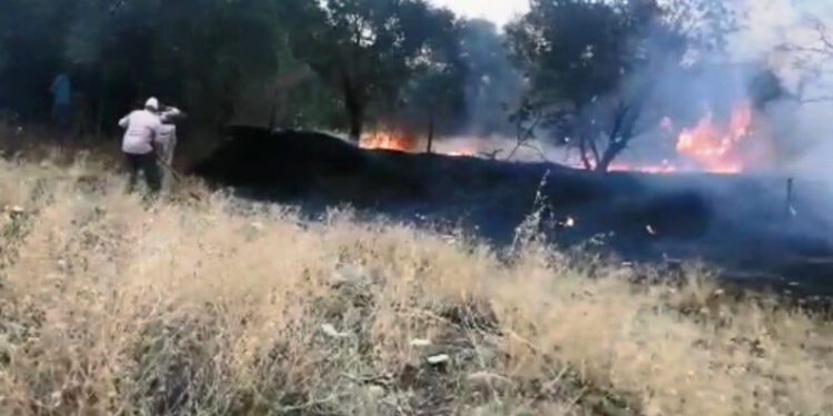 Nazi̇lli̇de Zi̇rai̇ Alanda Yangın Çıktı